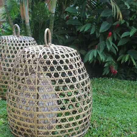 The Sankara Resort & Spa-3